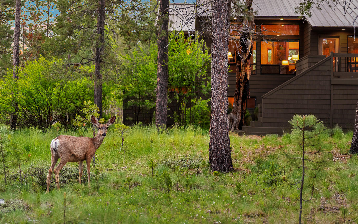 Mtn Village West - Residential