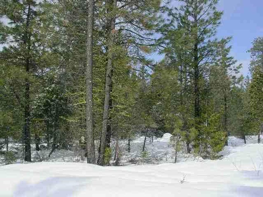 L - 608 2.35 Acres Located On Blackbird Drive Off Hummingbird In Kffe. Level Lotwith Nice Pines And Cedar Trees. Easy Access. Power And Phone At The Property.