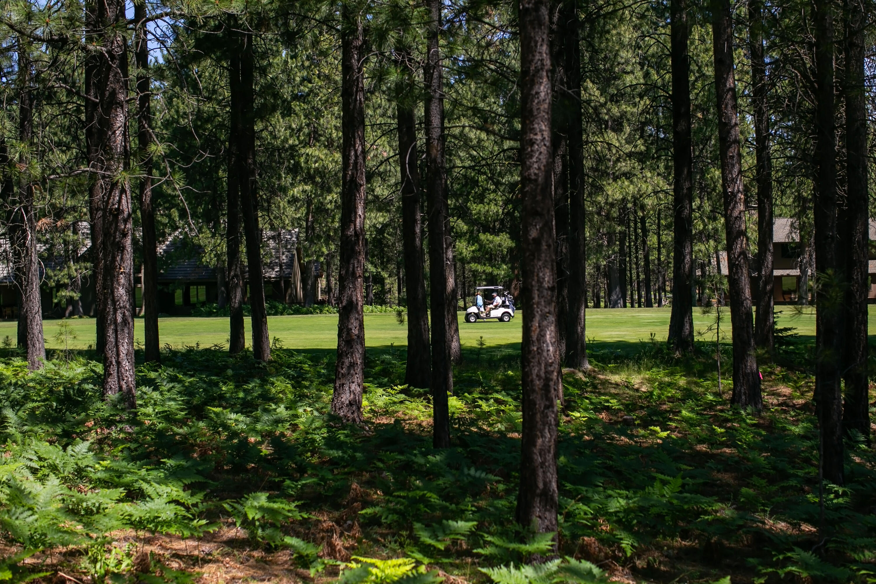 Glaze Meadow Homesite Section - Residential