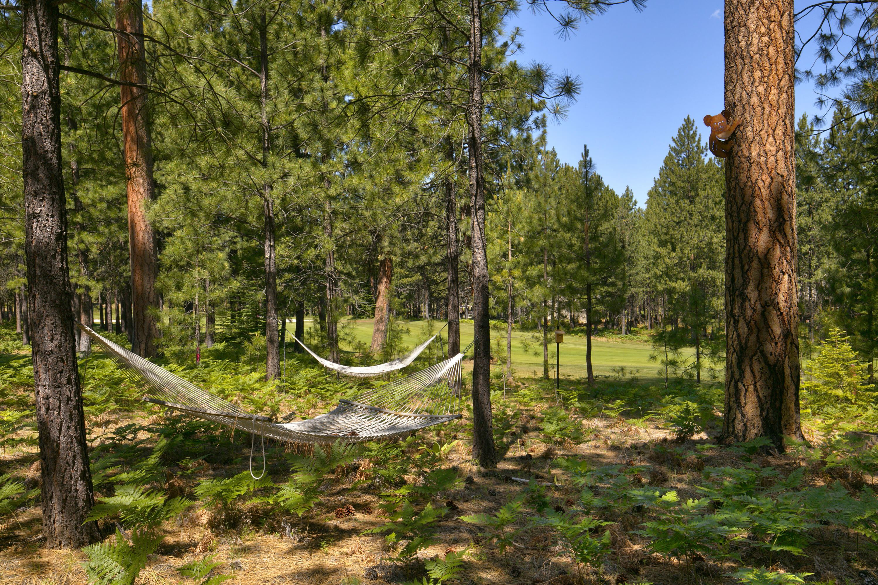 Glaze Meadow Homesite Section - Residential