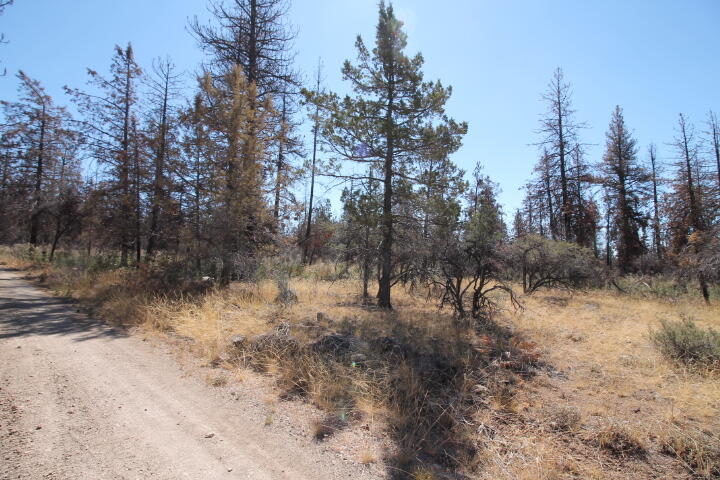 Klamath Falls Forest Estates Hwy 66 Unit Plat 4 - Land