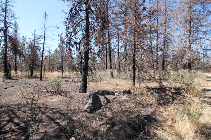 Klamath Falls Forest Estates Hwy 66 Unit Plat 4 - Land