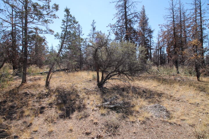 Klamath Falls Forest Estates Hwy 66 Unit Plat 4 - Land