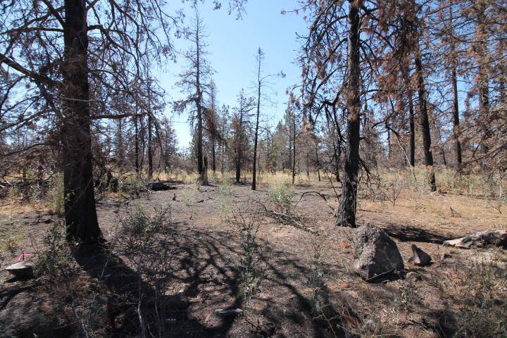 Klamath Falls Forest Estates Hwy 66 Unit Plat 4 - Land
