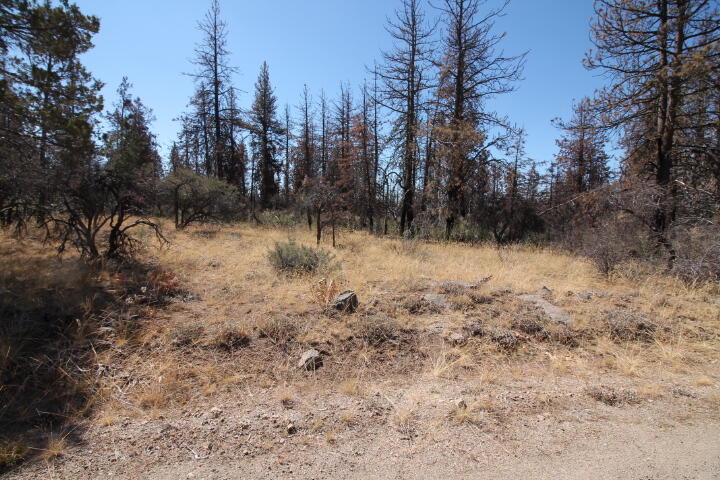 Klamath Falls Forest Estates Hwy 66 Unit Plat 4 - Land