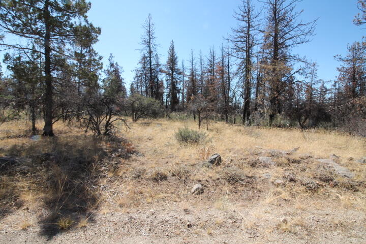 Klamath Falls Forest Estates Hwy 66 Unit Plat 4 - Land