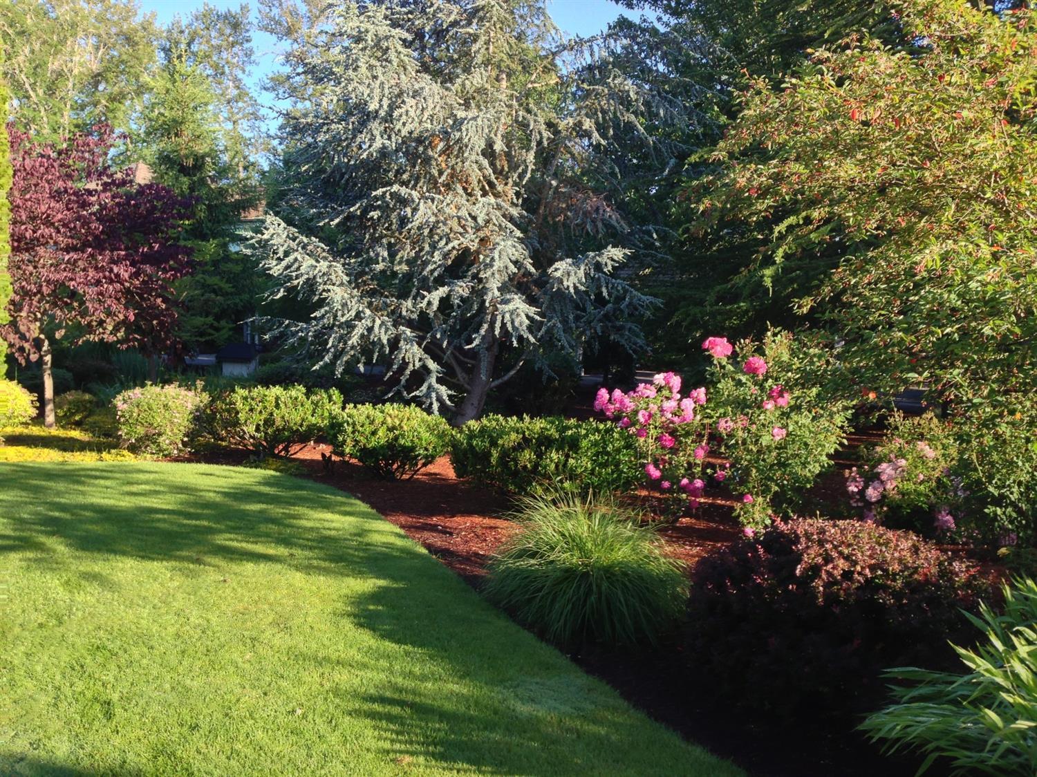 Rogue Ridge Estates - Residential