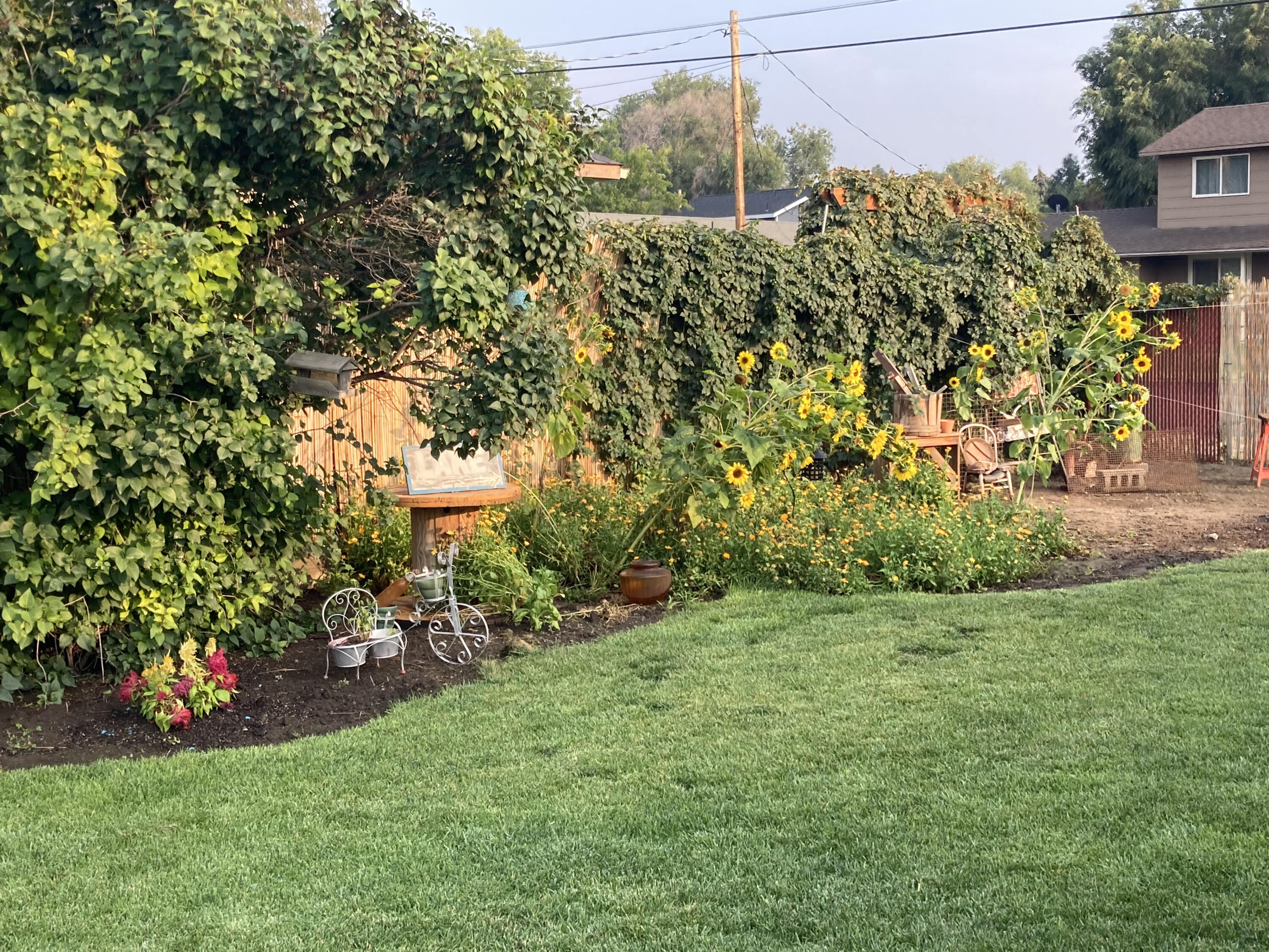 Newsoms - Residential