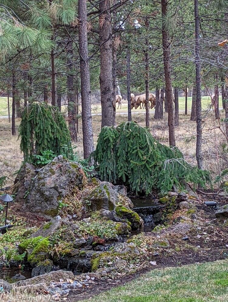 Crosswater - Residential