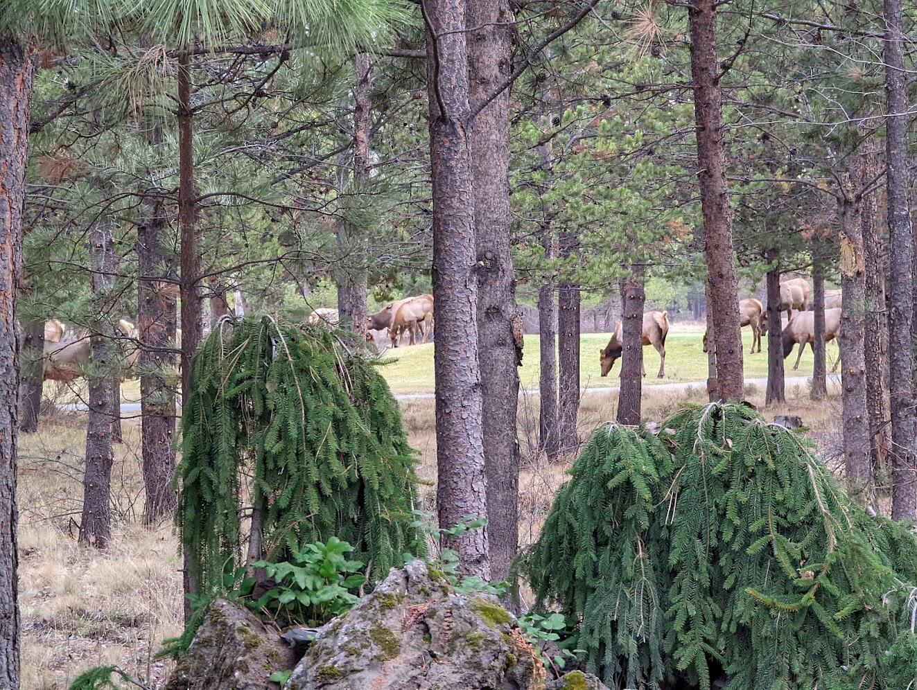 Crosswater - Residential