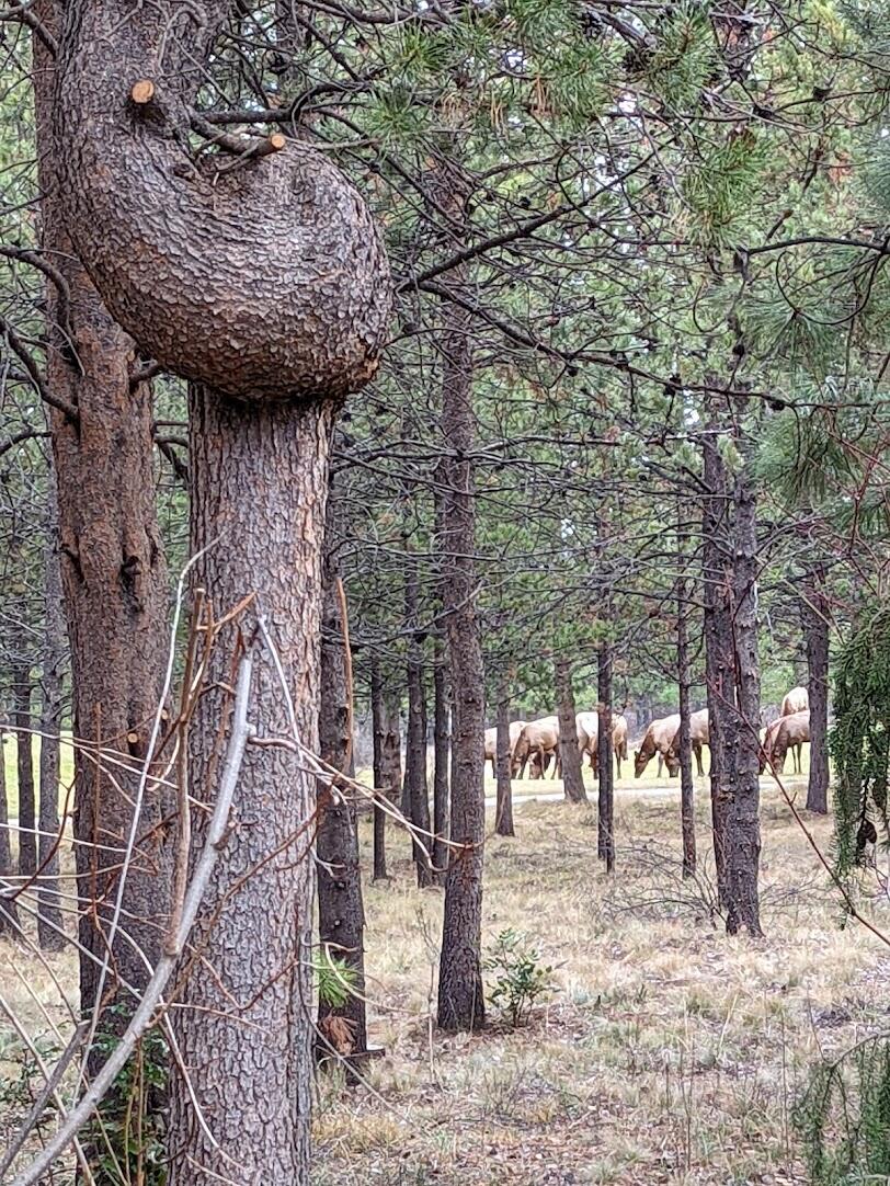 Crosswater - Residential