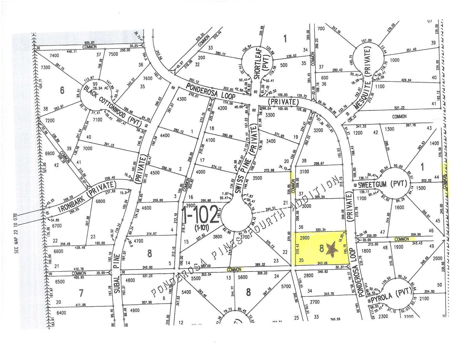 Ponderosa Pines - Land