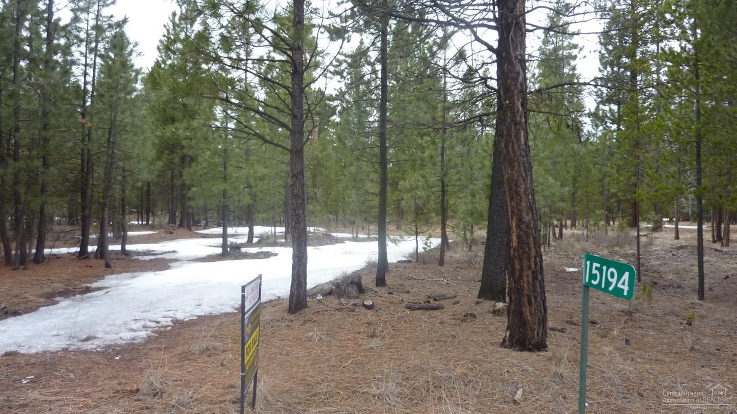 Ponderosa Pines - Land