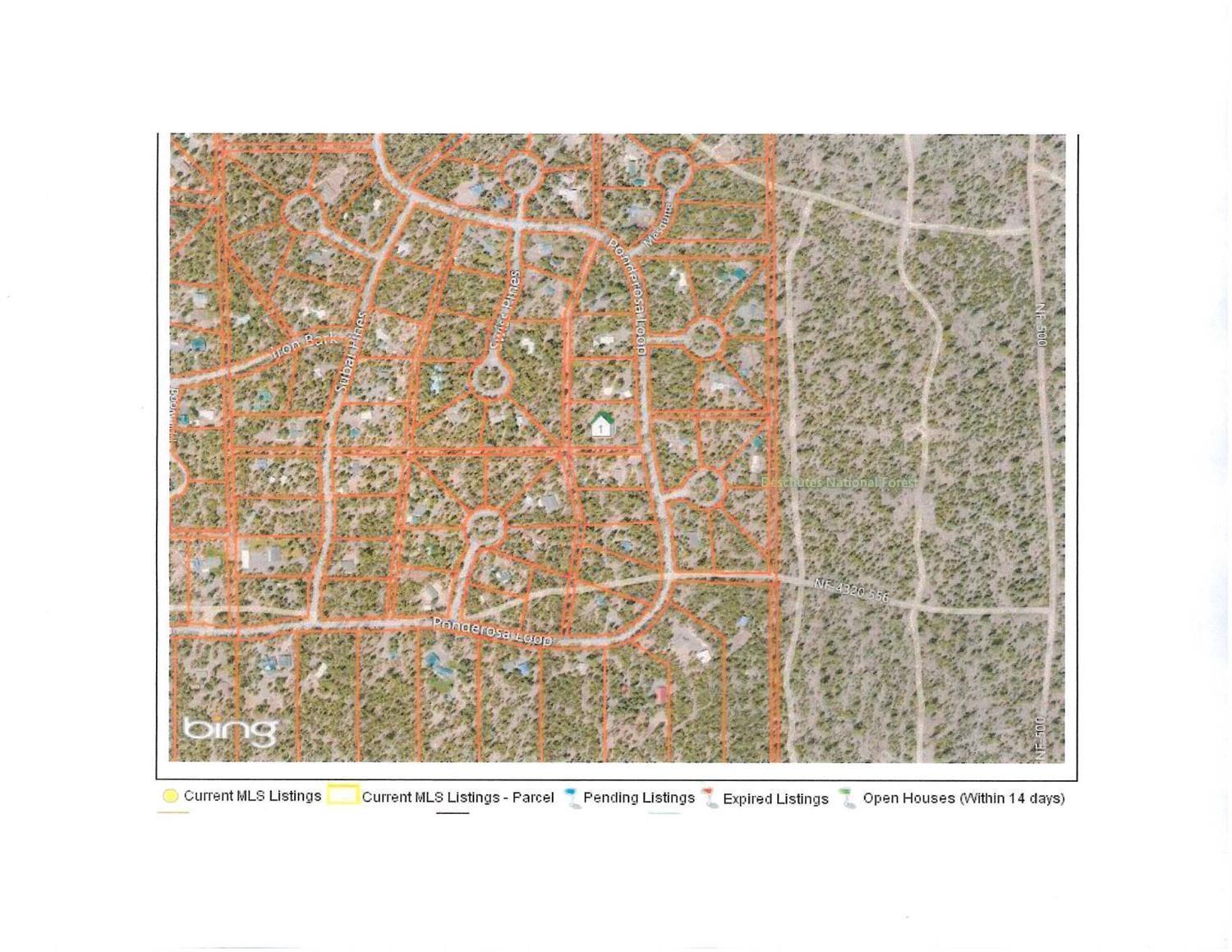 Ponderosa Pines - Land
