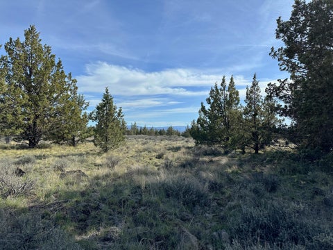 Featured picture for the property 220180312