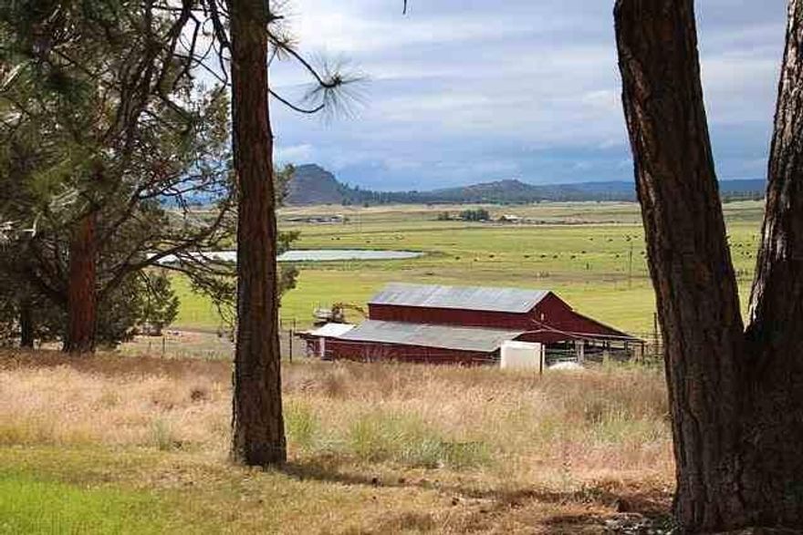 1550 ACRE cattle ranch w/gravity flow irrigation supplying summer pasture for 450 pair or up to 800 yearlings. Timbered ridges provide protected feedgrounds for year around operation as well. Chalet style home w/huge windows viewing the productive valley below, second home for hand or family, livestock barn, equipment shed, scales & extensive welded pipe corrals and holding pens. Rotational pastures w/improved water troughs, ponds, spring, 3 wells & some river water rights. There is also an old homestead with usable barn & shed at the far end of the valley.