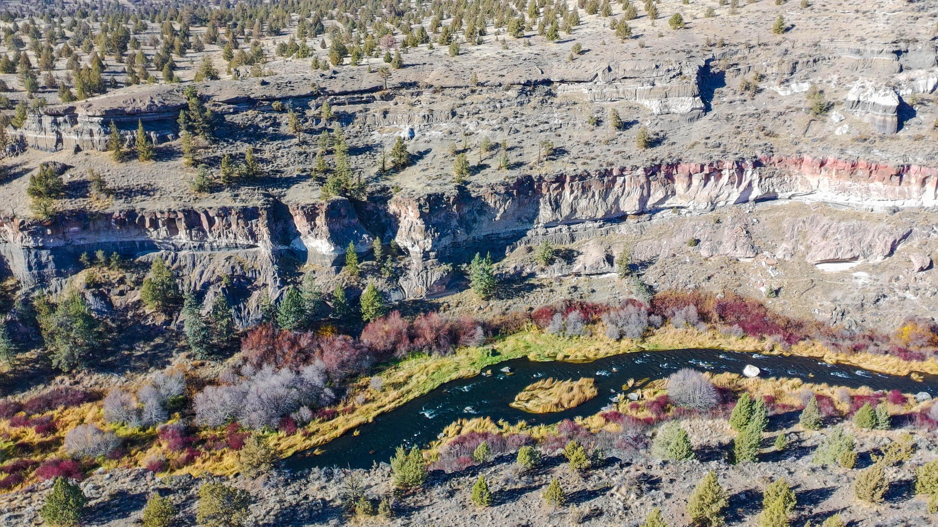 12233 NW Steelhead Falls Drive