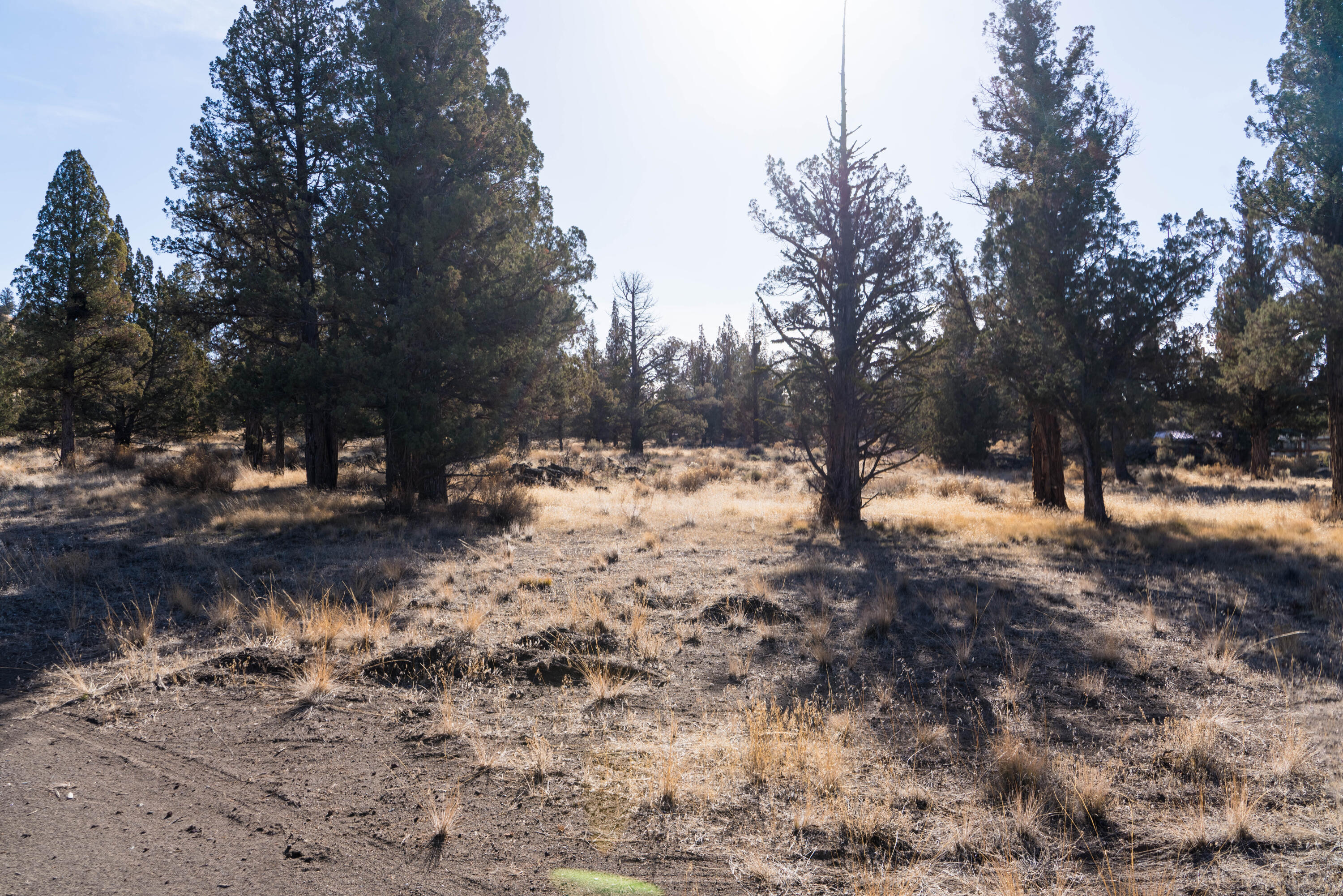 Crooked River Ranch - Land