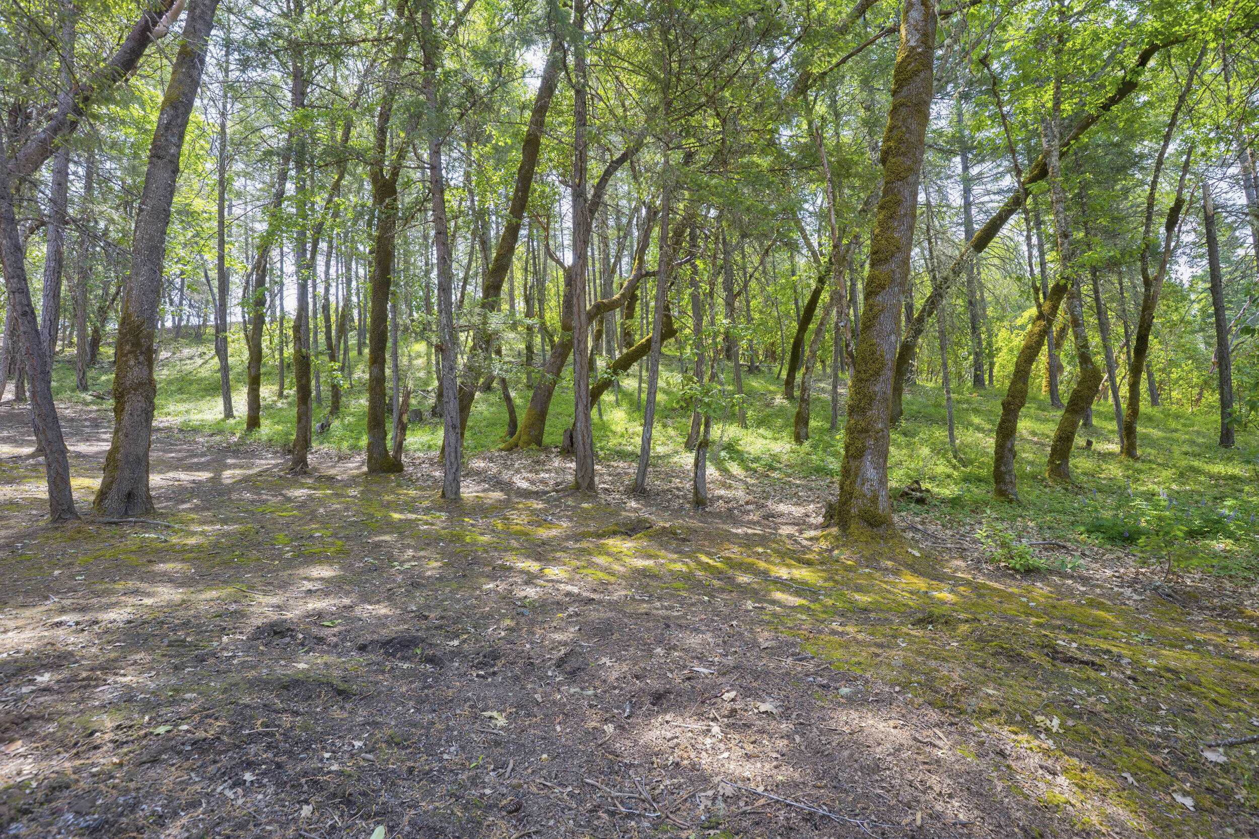 Shadow Hills Estates Subdivision - Residential