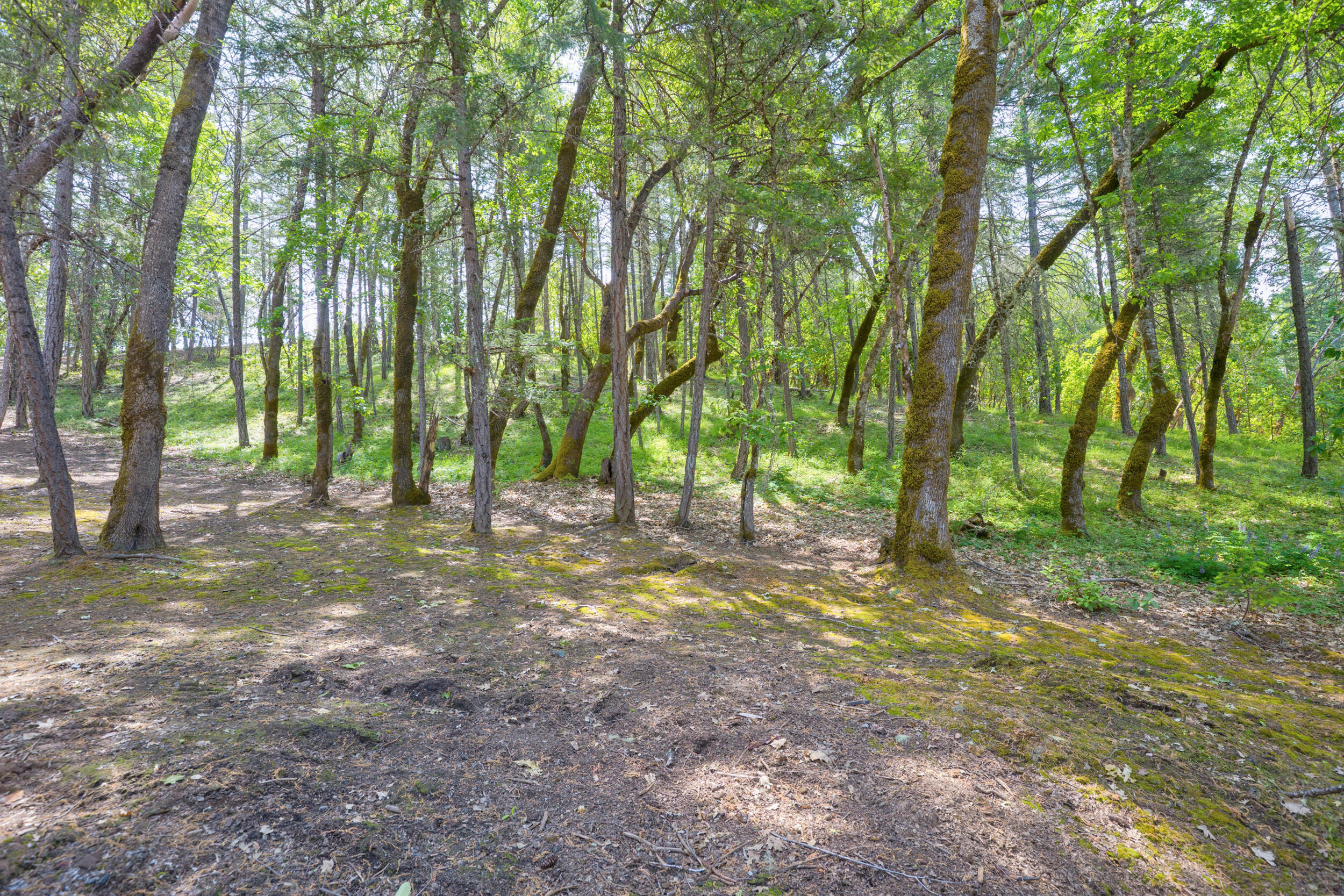 Shadow Hills Estates Subdivision - Residential