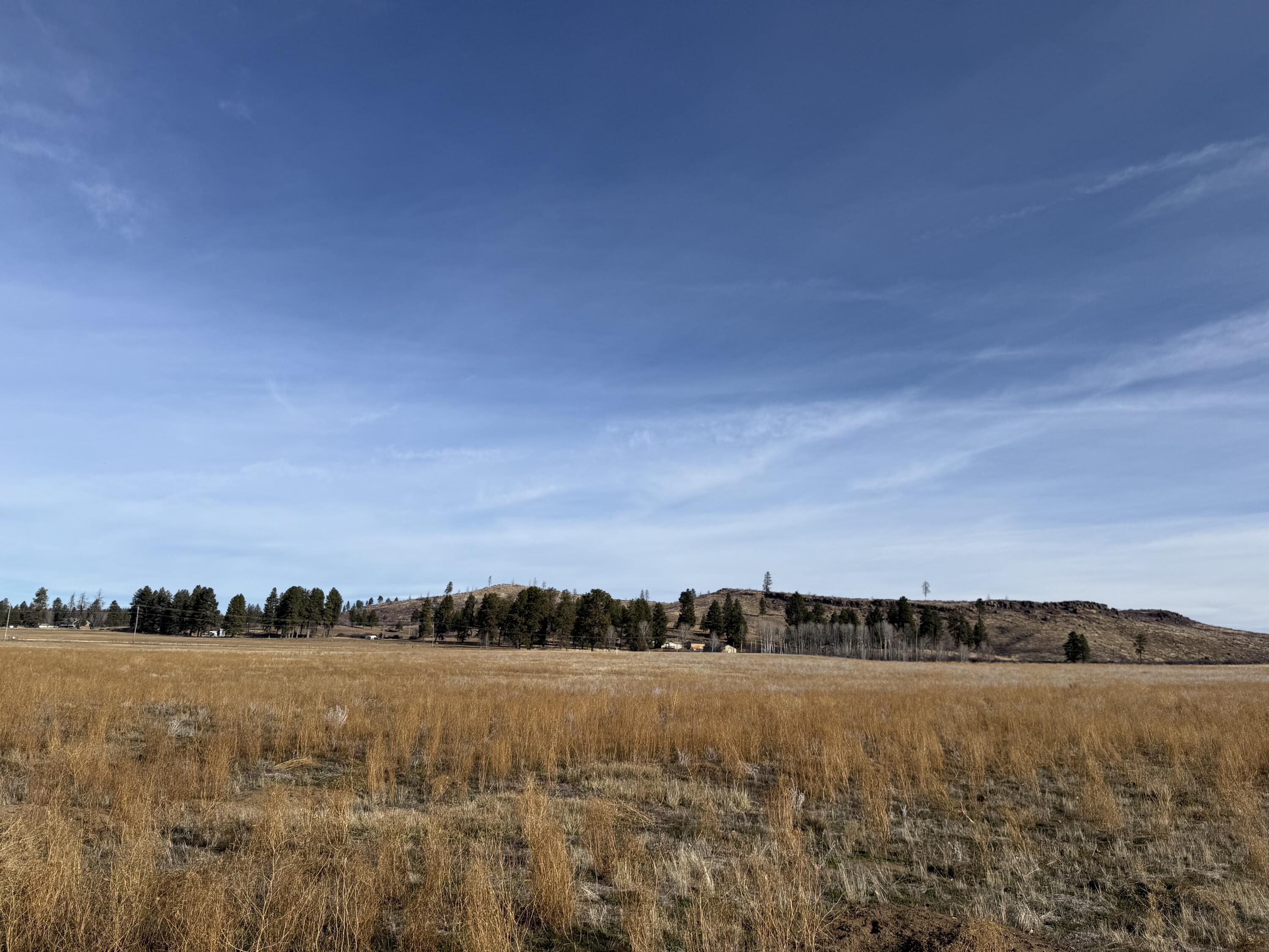 Agency Lake Ranches - Land