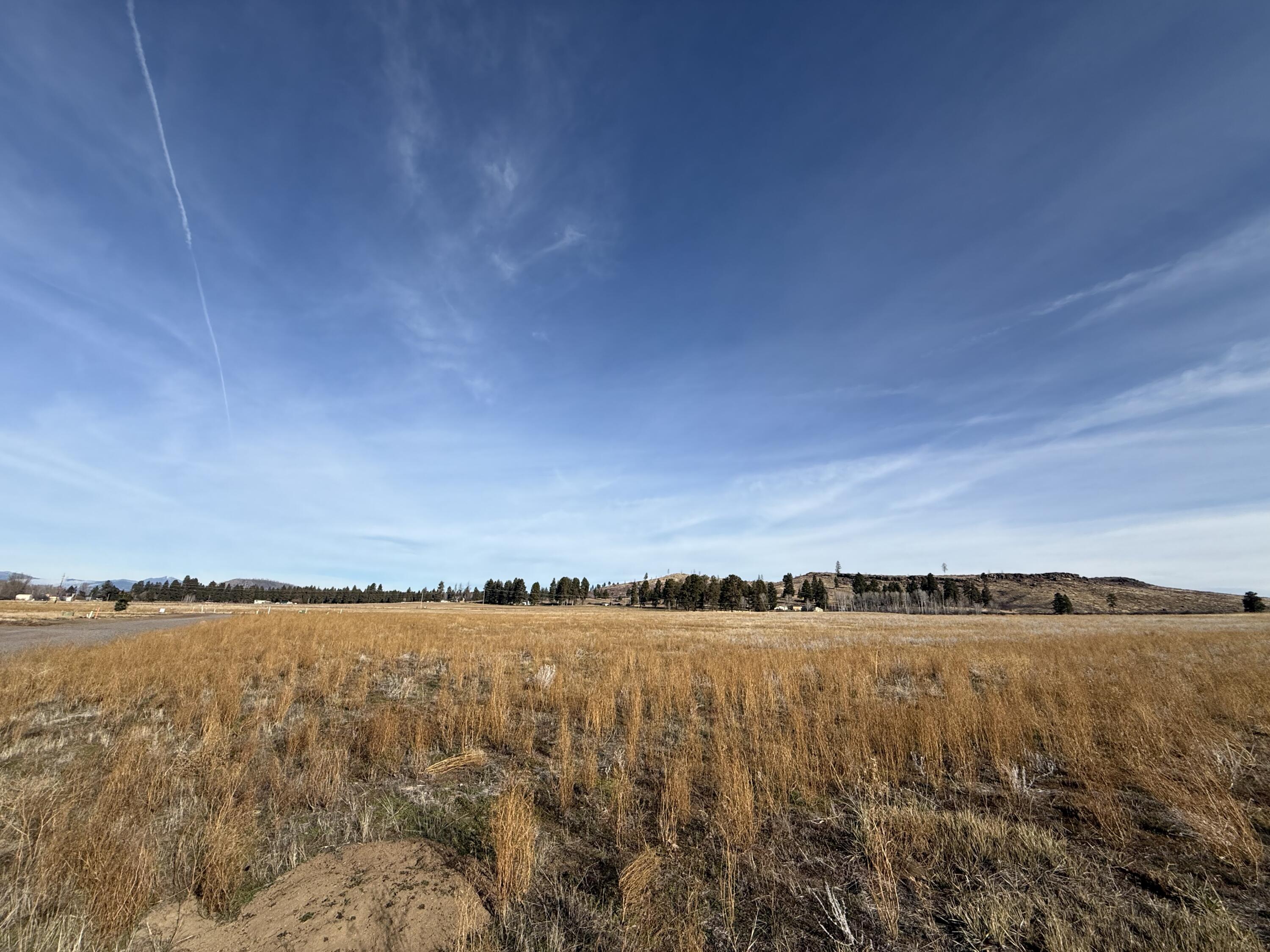 Agency Lake Ranches - Land