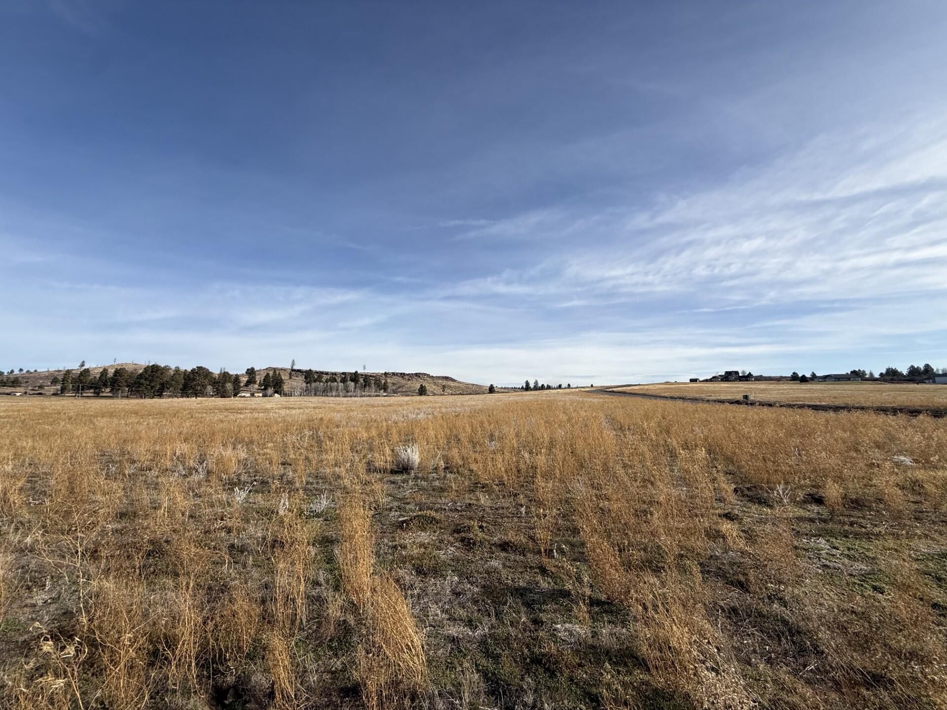 Agency Lake Ranches - Land