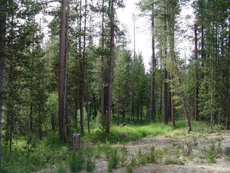 Two Rivers North - Residential