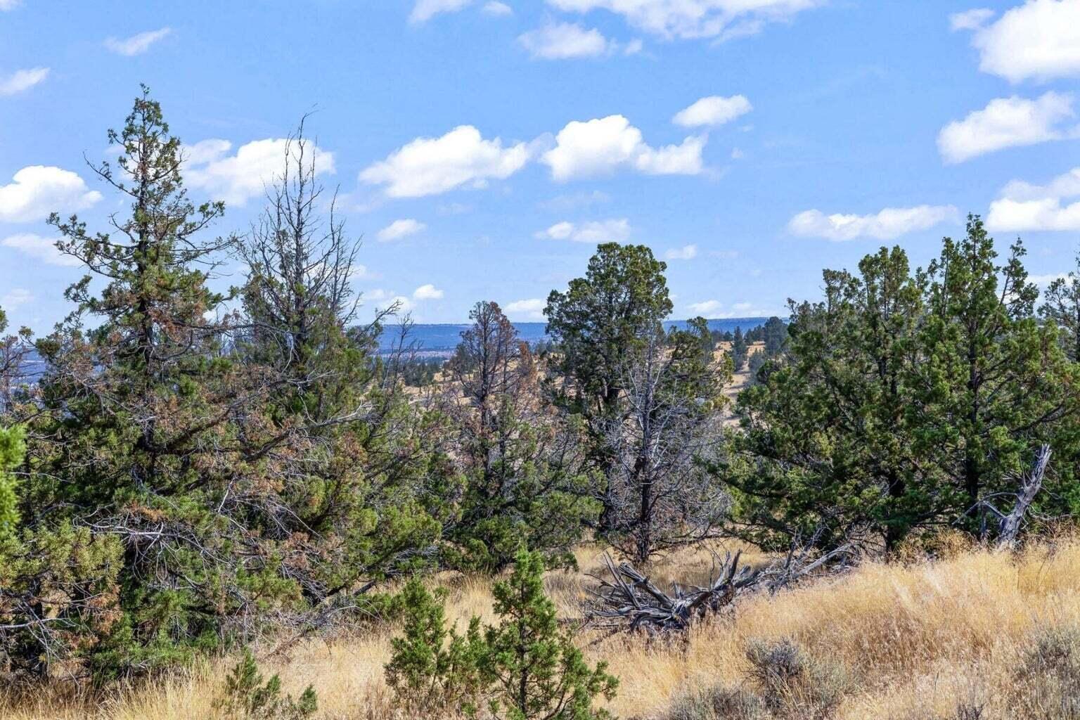 15875 SE Winchester Loop