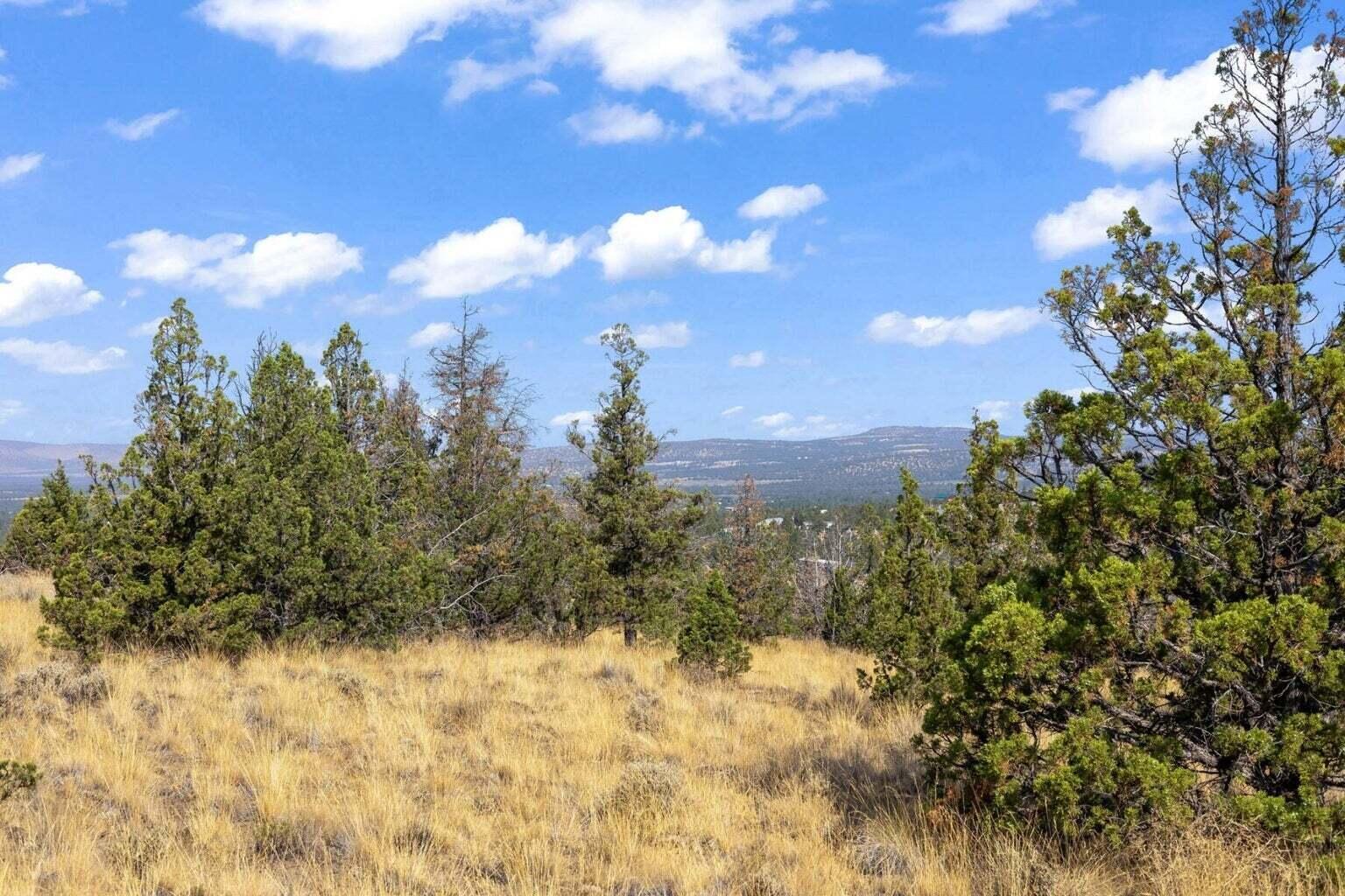 Prineville Lake Acres 1 - Land