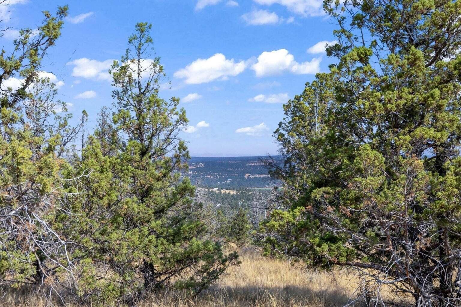 Prineville Lake Acres 1 - Land