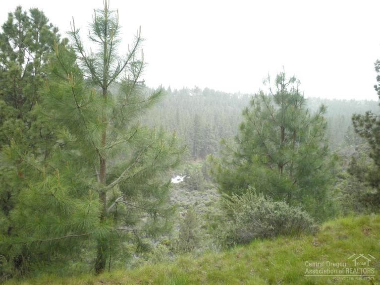 Mt Bachelor Village - Residential