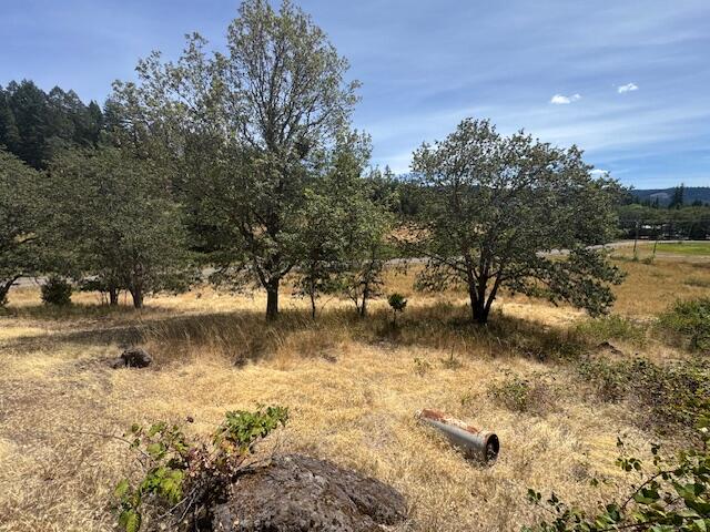 Evergreen Meadows Subdivision - Land