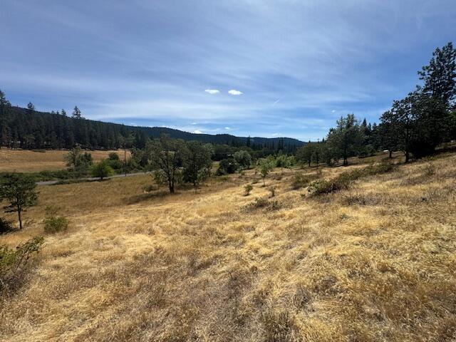 Evergreen Meadows Subdivision - Land