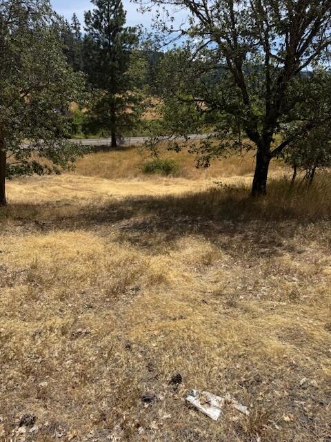 Evergreen Meadows Subdivision - Land