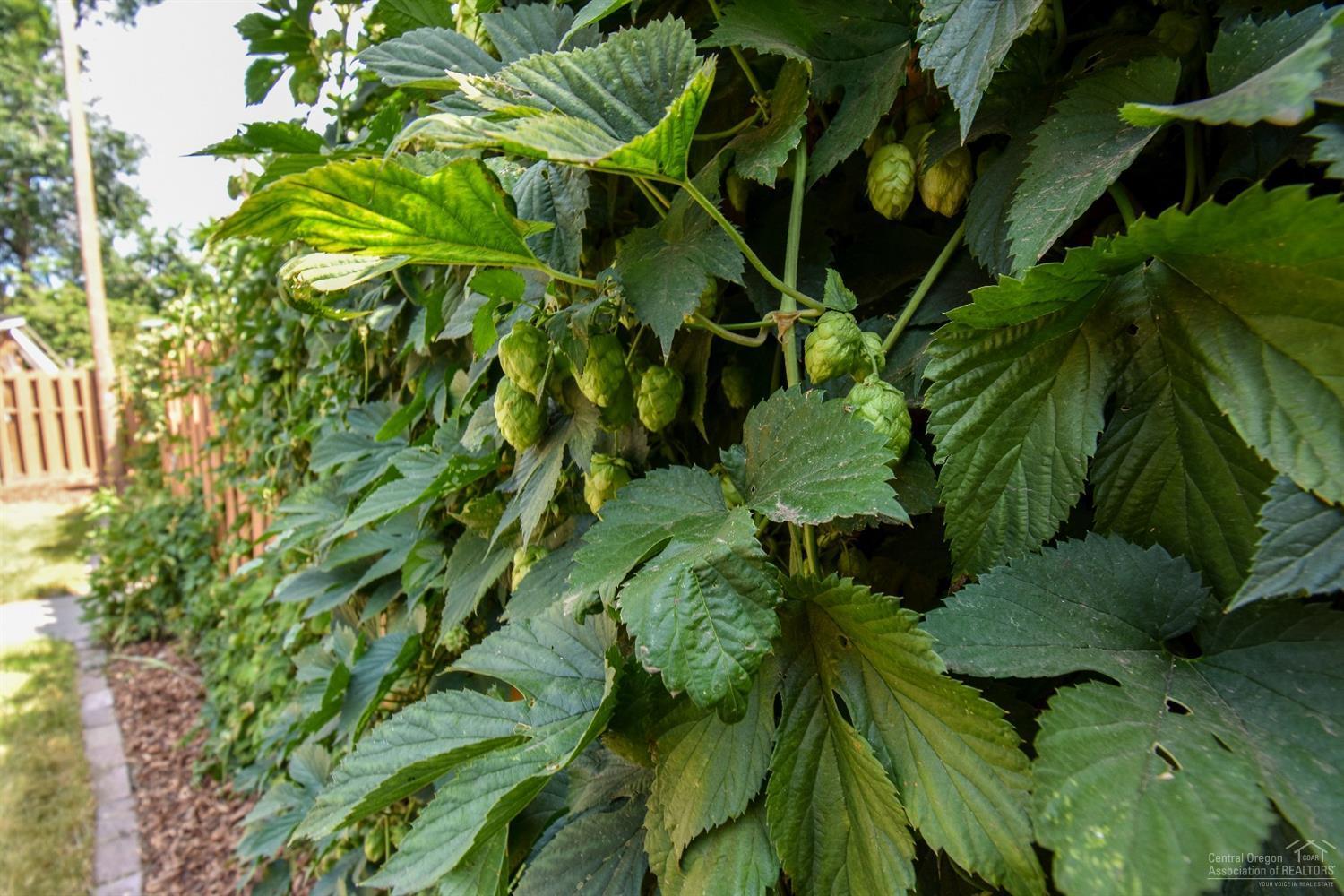 River Terrace - Residential