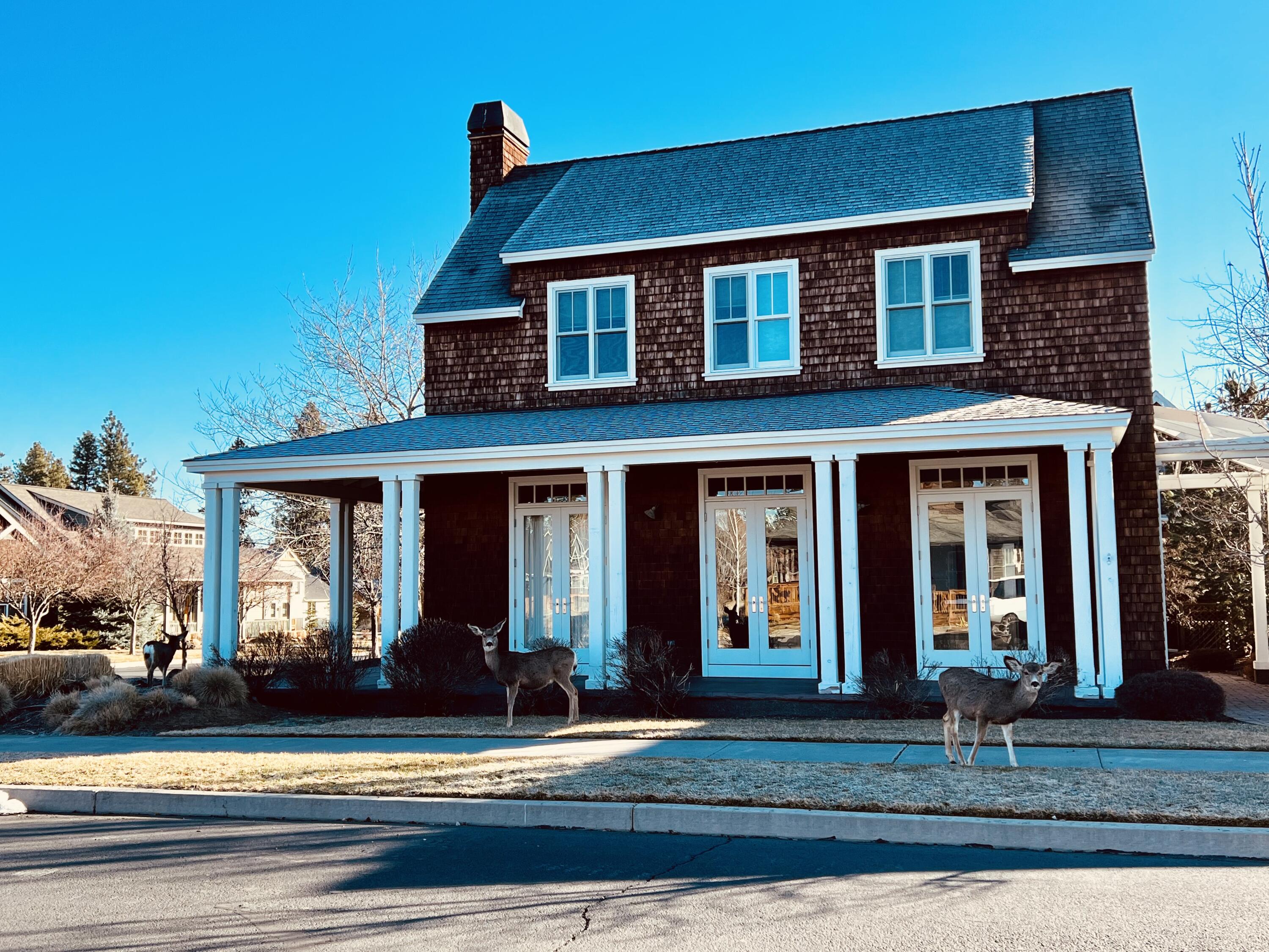Pine Meadow Vill - Residential