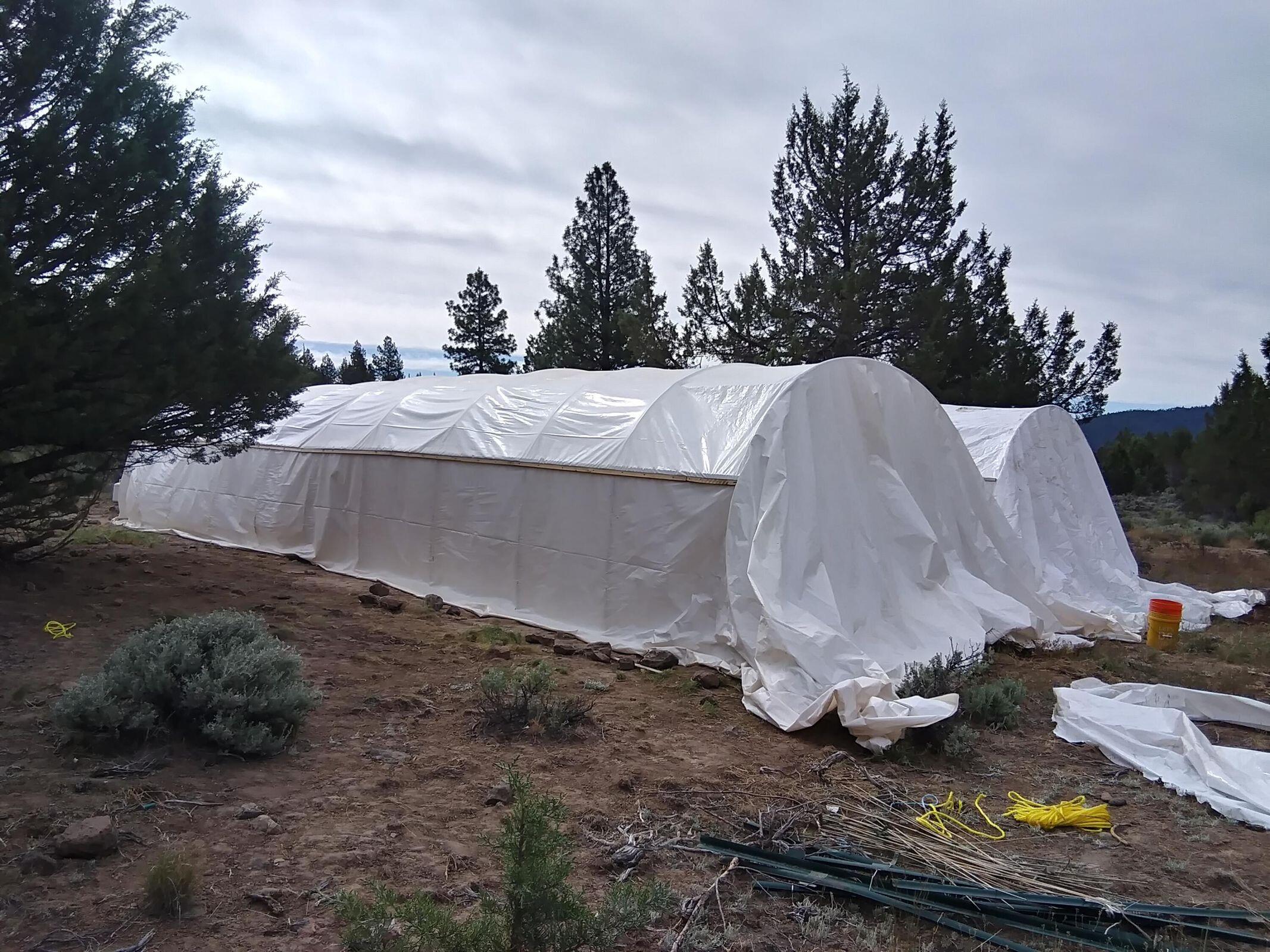 Ferguson Mountain Pines - Land