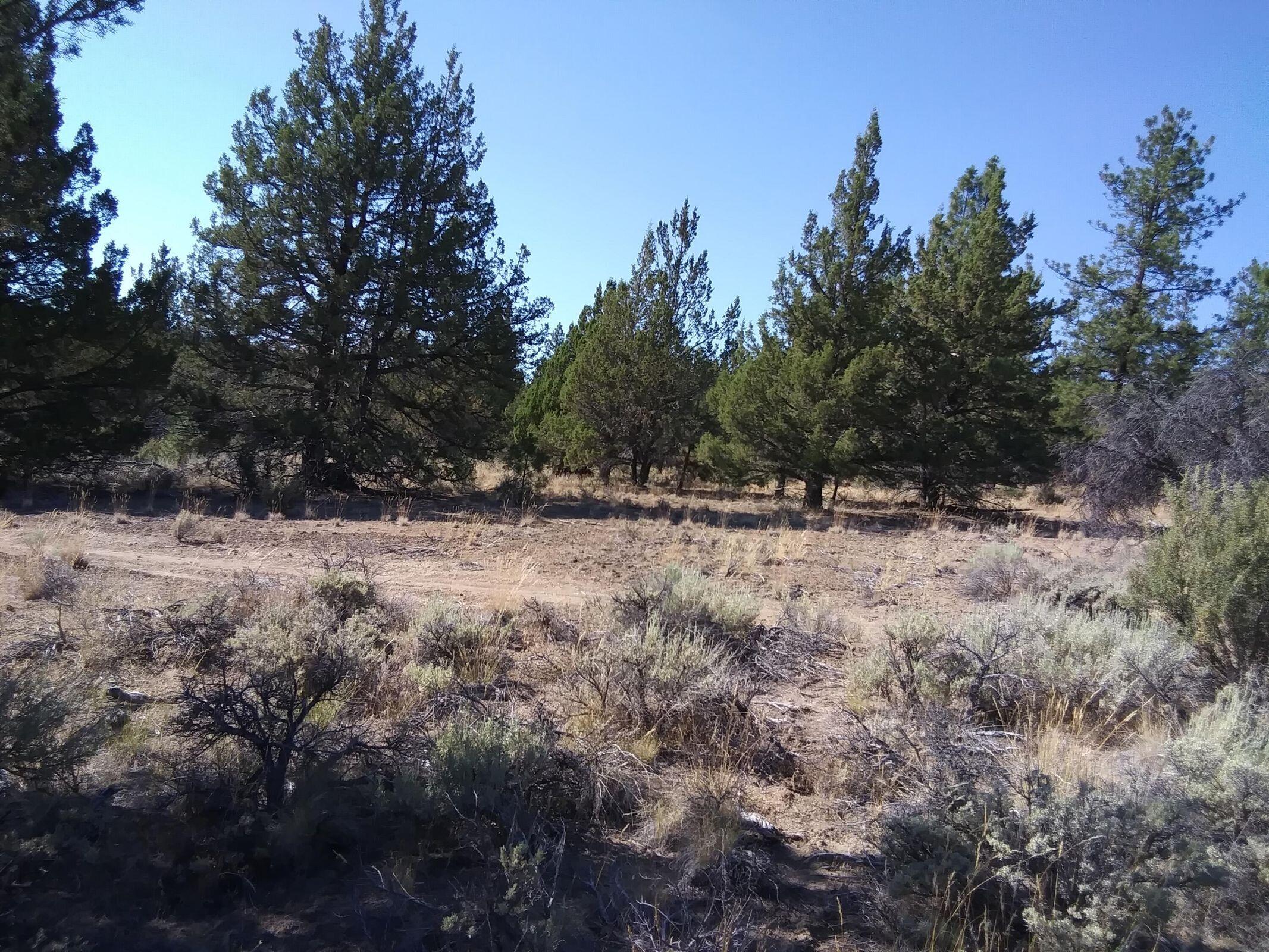 Ferguson Mountain Pines - Land