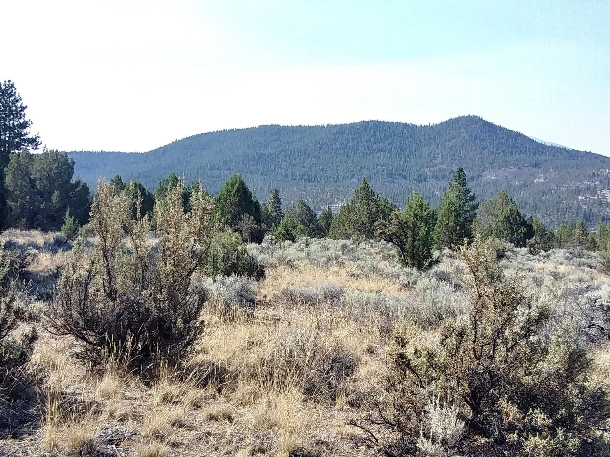 Ferguson Mountain Pines - Land
