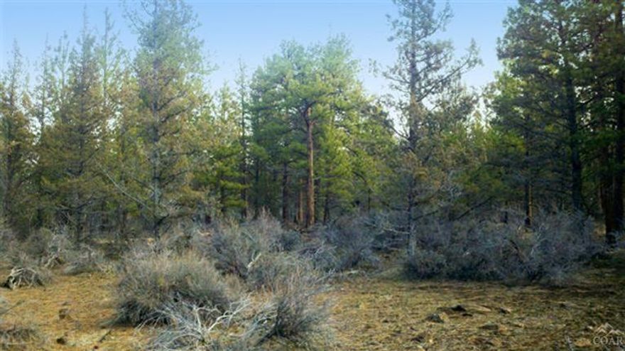 Nice 10 acre parcel. Owners have a Lot of Record for a home building site. Buyers to do their own due diligence with County.