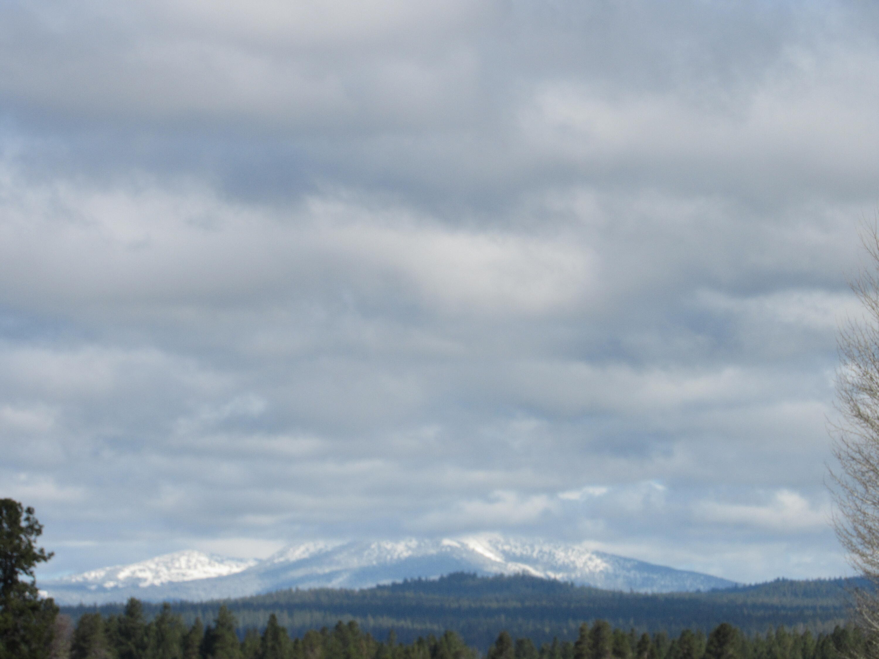 Pine Ridge Ranches - Land