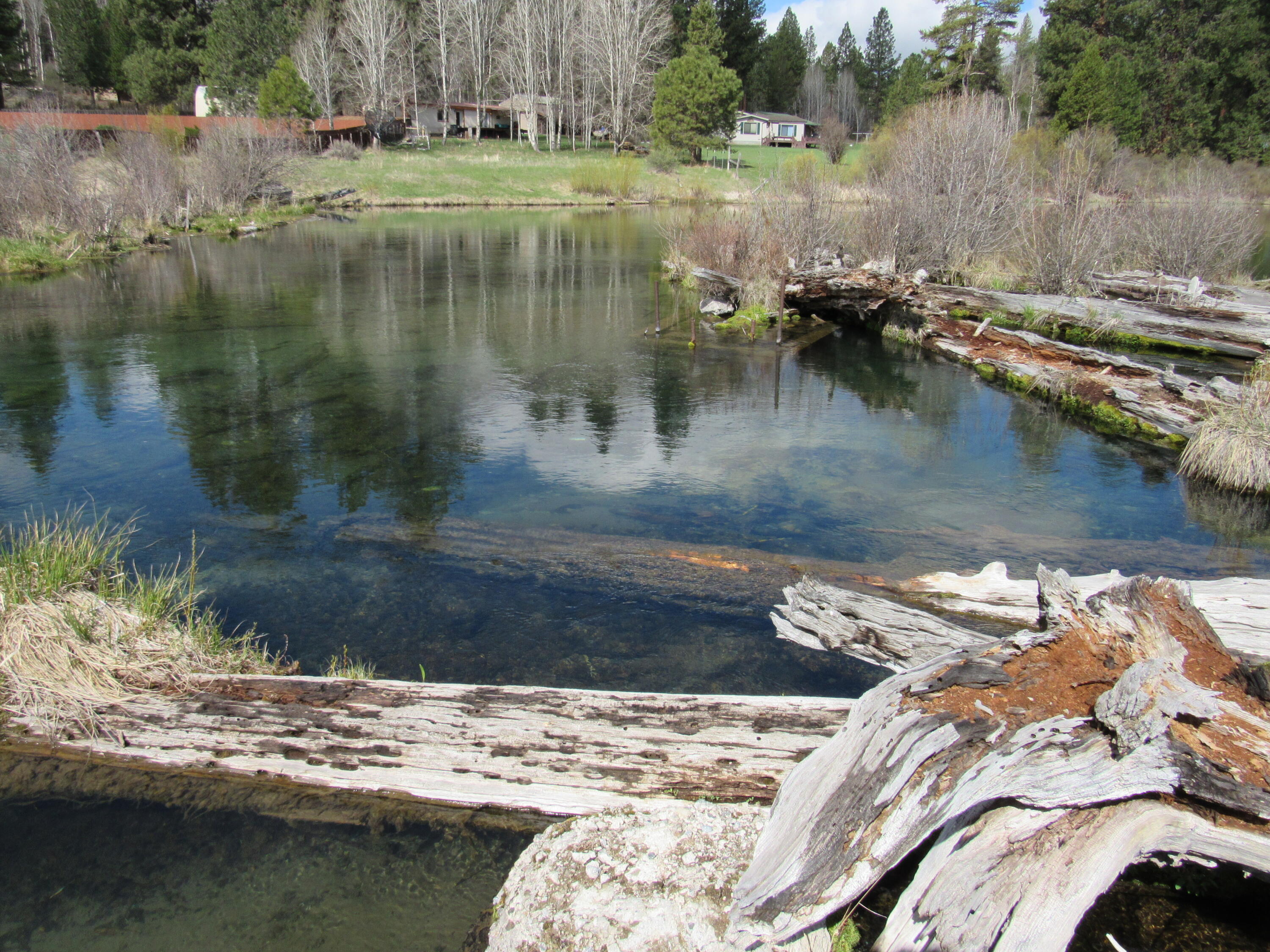 Pine Ridge Ranches - Land