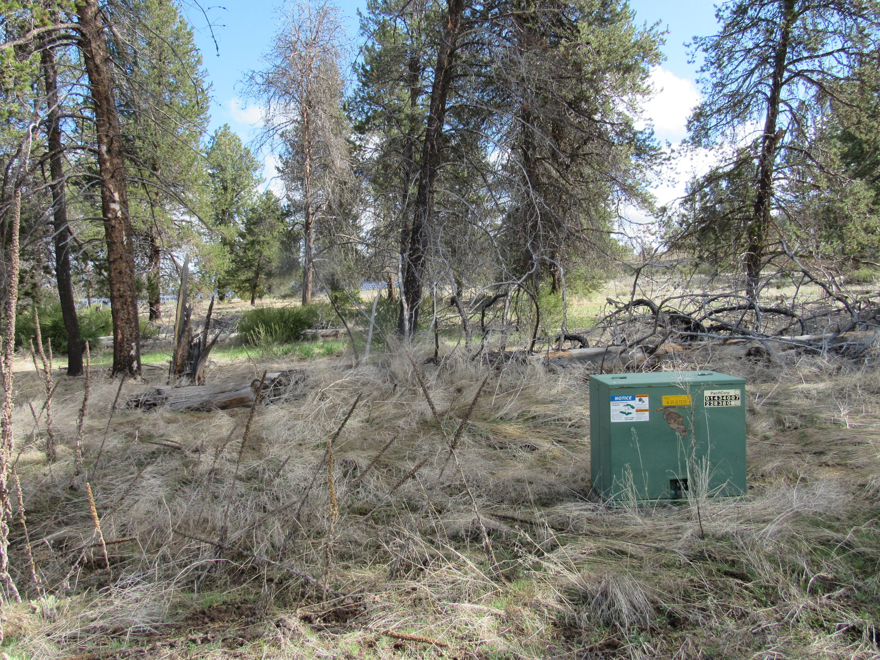 Pine Ridge Ranches - Land