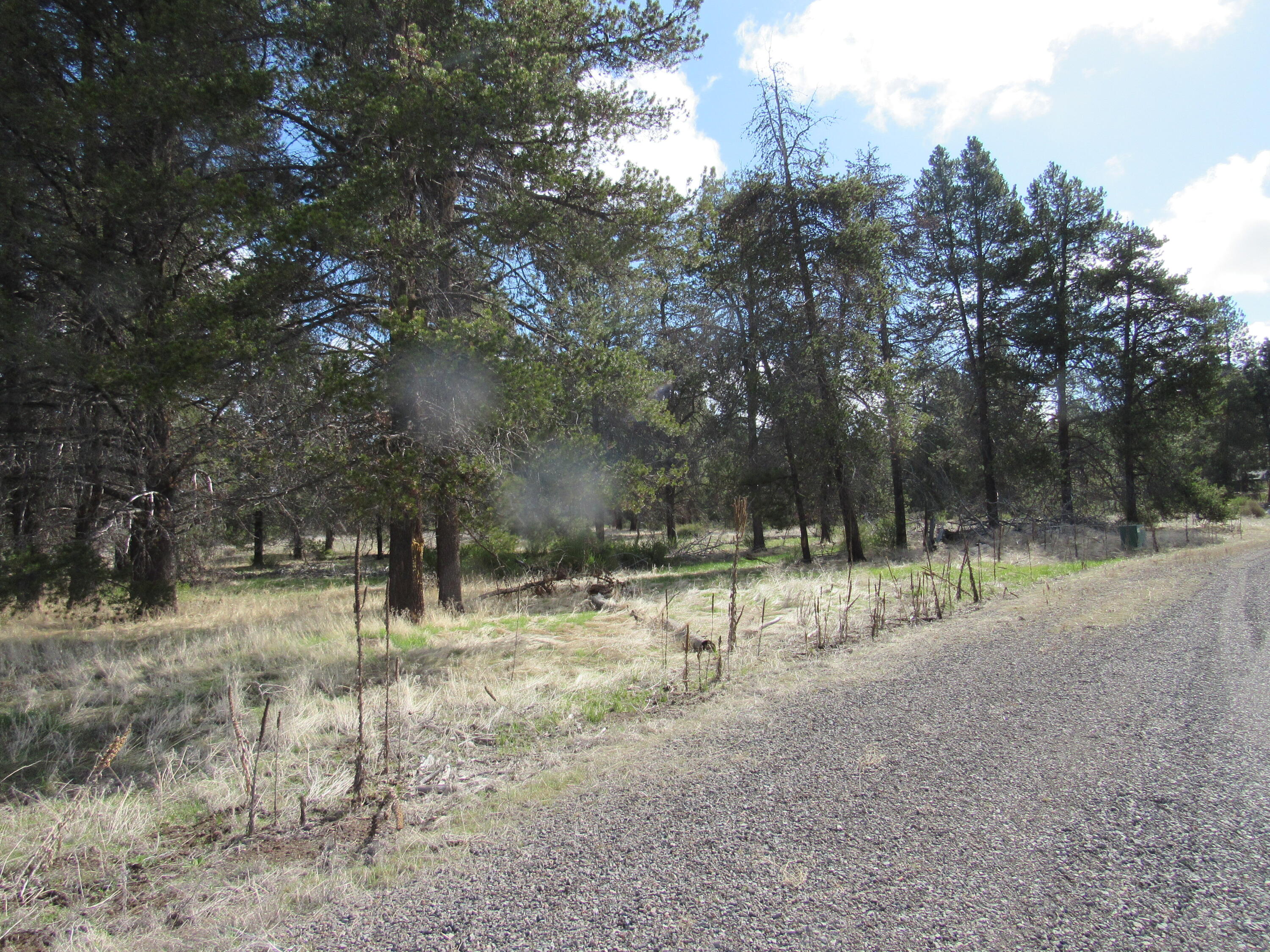 Pine Ridge Ranches - Land