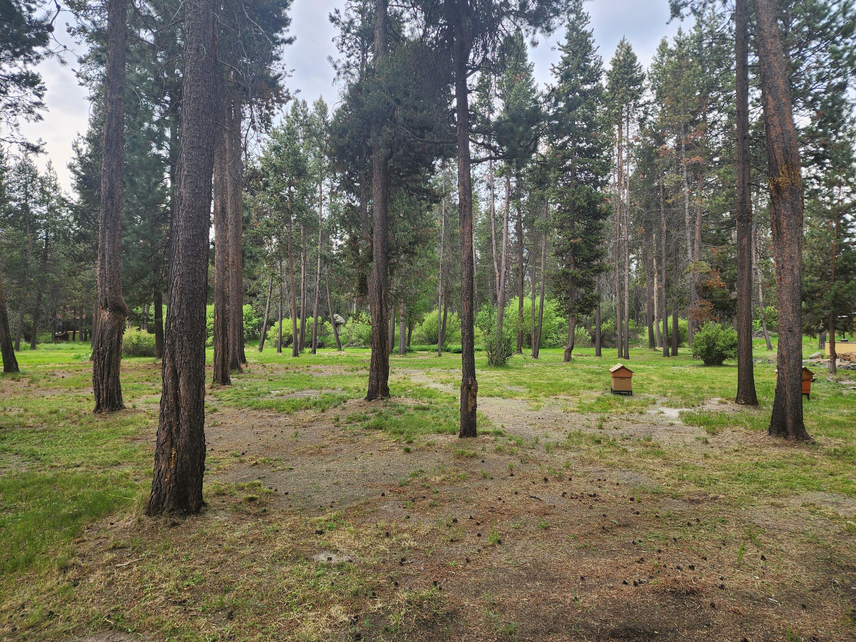 Deschutes River Recreation Homesites - Land