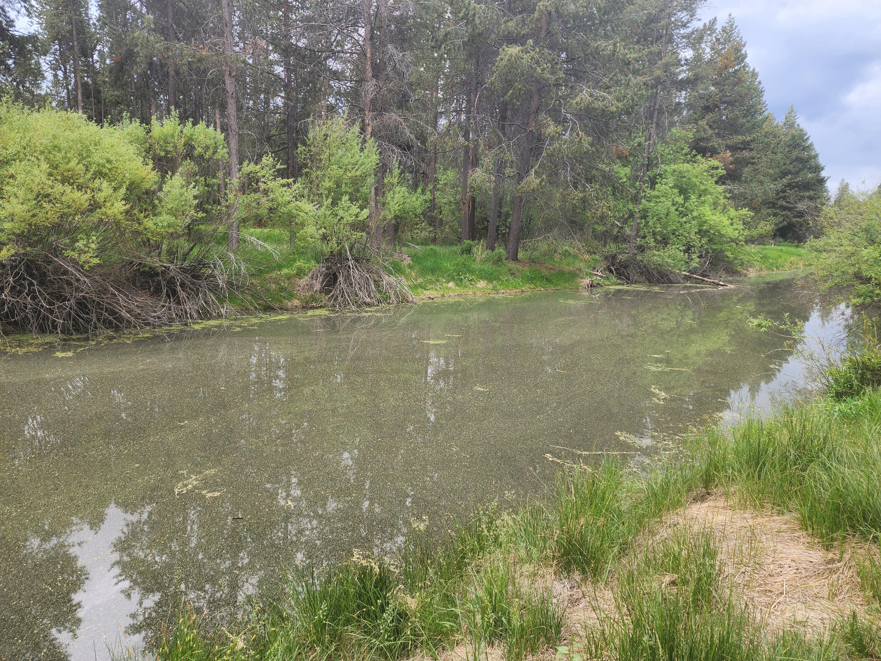 Deschutes River Recreation Homesites - Land