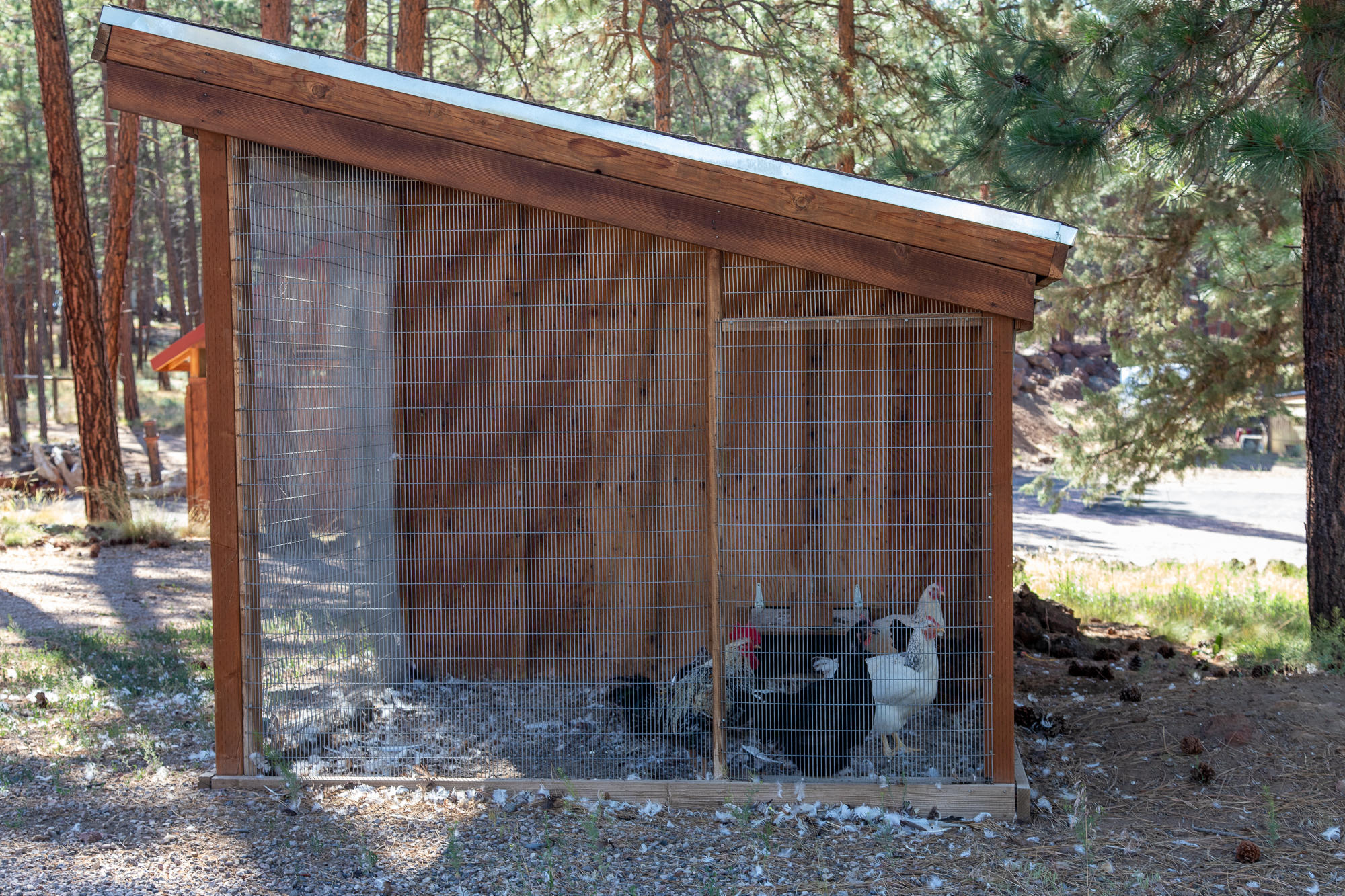 Indian Ford Meadows - Residential