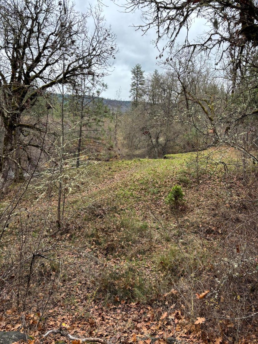 Adjacent to the beautiful and renowned Crowfoot Falls, this small parcel offers a chance to own a piece of scenic Southern Oregon at a low cost. Picturesque views of Big Butte Creek and falls which flow into the Rogue River. Appears that the parcel is not likely to qualify for homesite approval, however, as per the County, a self-contained RV can be placed on the property for 3 months in any 12 month period. Buyer to do due diligence as to all aspects and uses of the land including access to Big Butte Creek.