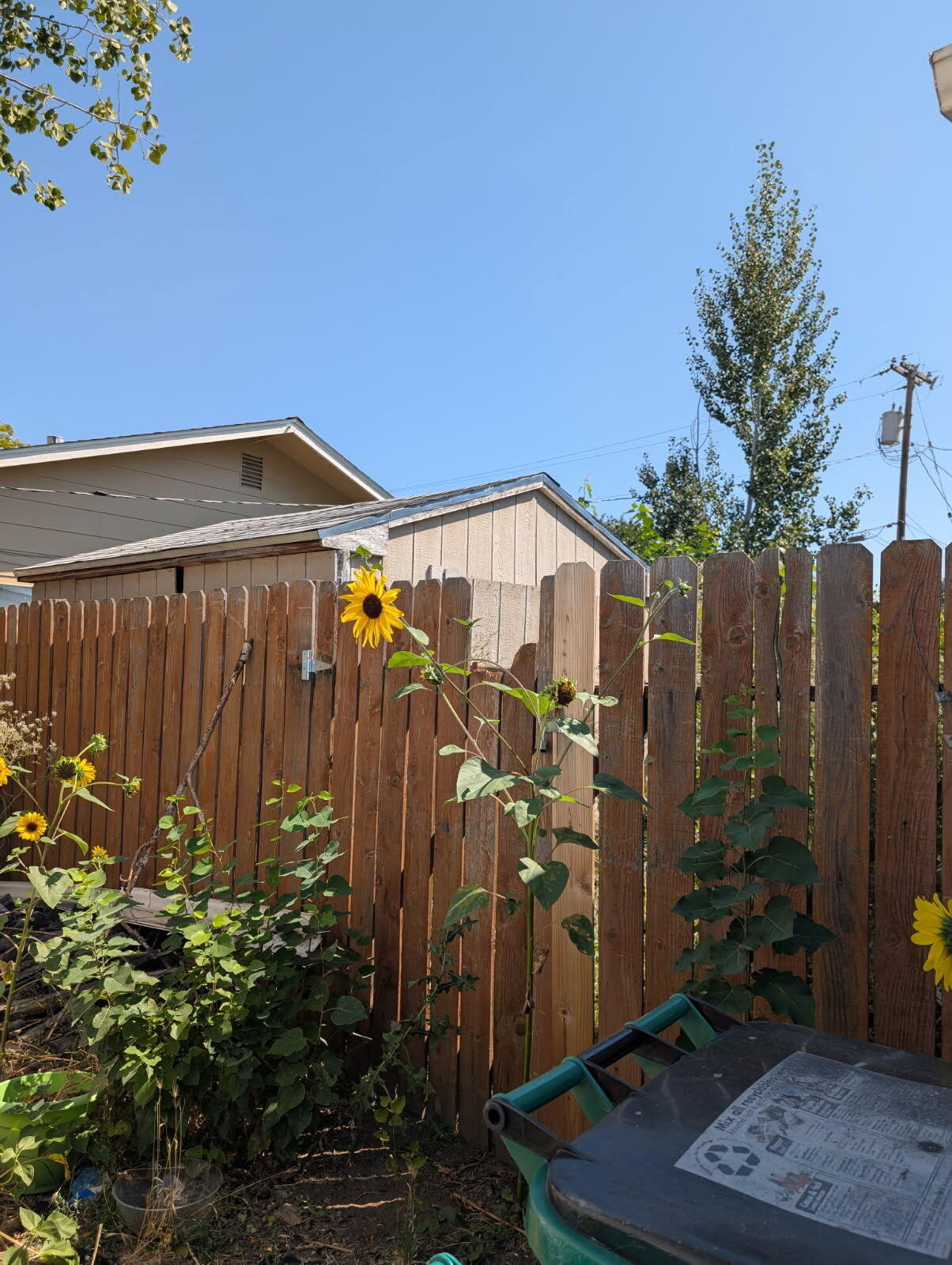 Merrymans' Replat -Vacated Part Of Old Orchard Monor - Residential